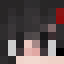 RebinStan