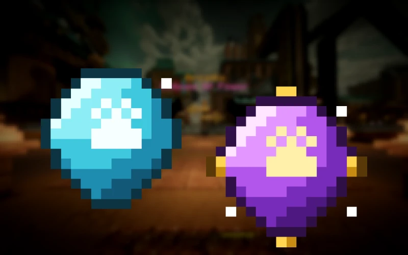 Bundle Duo Chroma