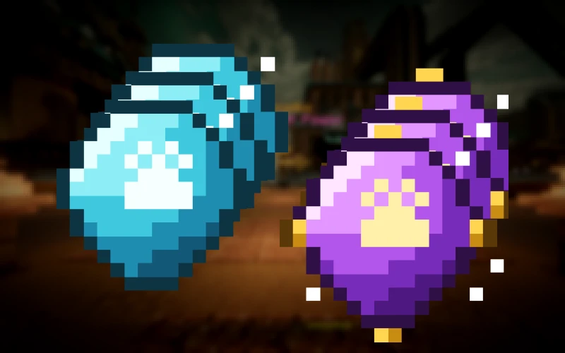 Bundle Collection Chroma