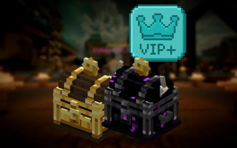 Bundle VIP+ Coffres
