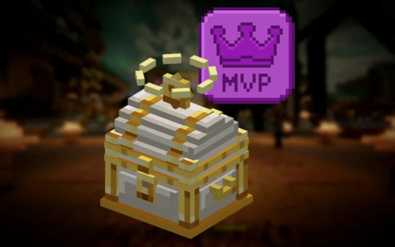 Bundle MVP Élite