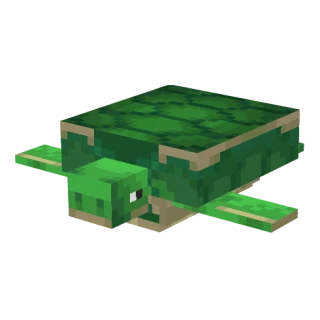 Familier Tortue